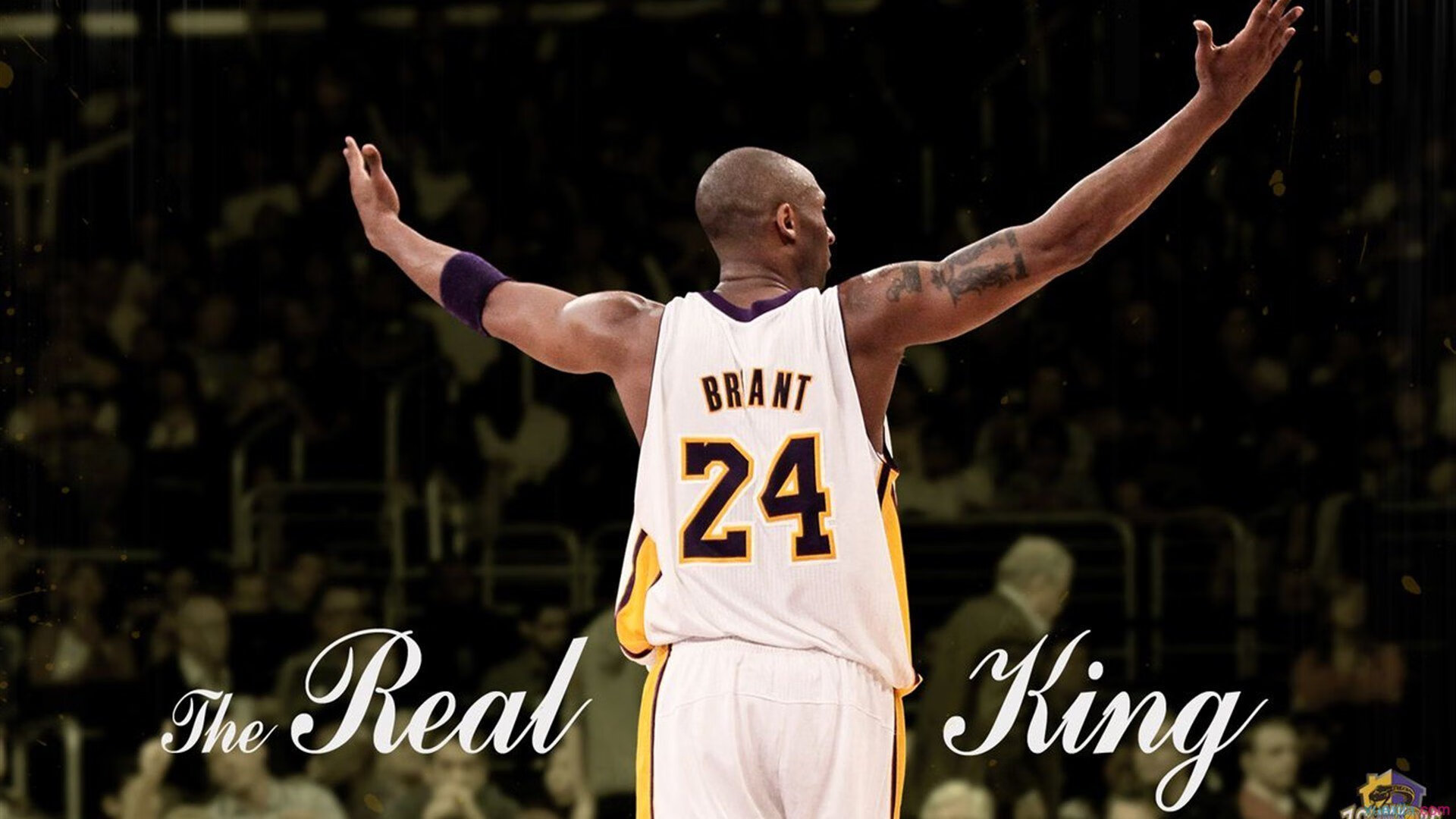 青少年体育活动组织管理模式创新,青少年体育管理的基本原则