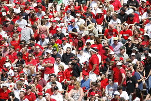 开云体育官网在线-体育赛事观众行为特征与管理对策，观众对体育赛事的意义